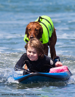 surf dog surfs with special needs