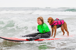surf dog disabilities