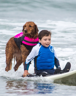dog surfing with disabled boy