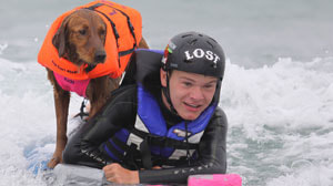 Dog surfing with boy