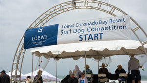 Surf Dog Competition loews