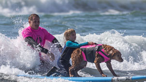 Dog surfing with child